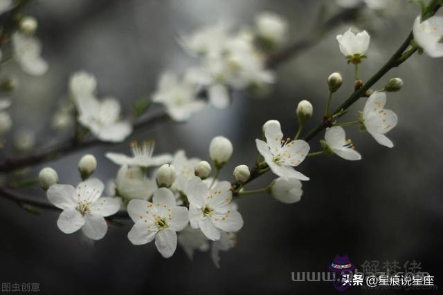 天秤座和巨蟹座最不搭，天秤座和巨蟹座做朋友