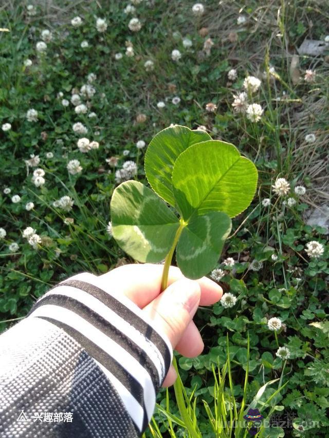 黑化的天秤座很恐怖，黑化后的天秤座照片