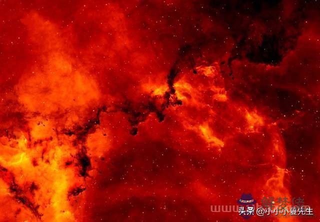 天秤男曖昧的表現，天秤男故意 *** 你