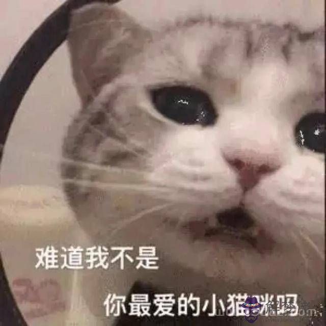 天秤座的內心有多可怕，天秤座男的最怕女人什麼