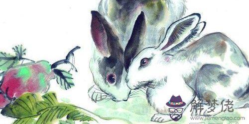 1月份兔子的運氣，生肖兔11月運勢"