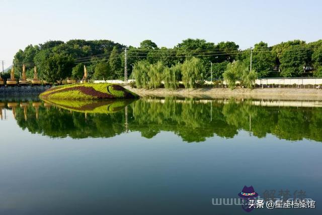 獅子男跟天蝎女座配嗎，天蝎男多數喜歡獅子女