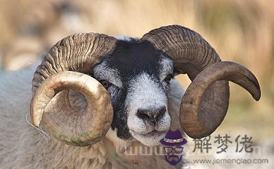 免費算命2022年運勢，免費算命2022 年運程