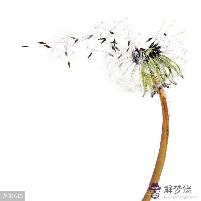哪個星座的寶寶更好命，就是好命的星座女