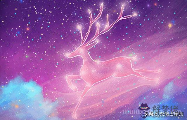 獅子座和摩羯座女生合得來嗎，獅子男和摩羯女合不合適