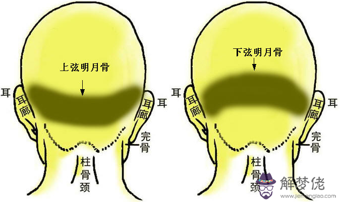10.兩弦明月骨