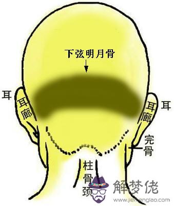 骨相大全：兩弦明月骨