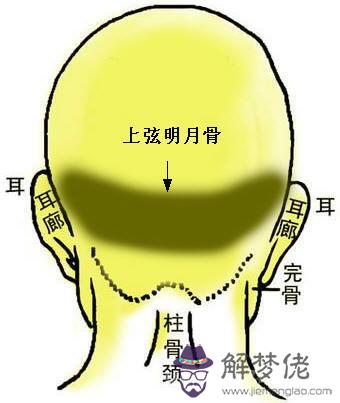 骨相大全：兩弦明月骨