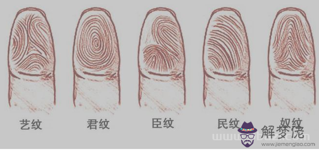 指紋算命二十四：簸箕、斗、簸箕、簸箕、簸箕