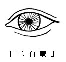 眼神、眼形、眼部面相圖解