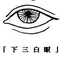眼神、眼形、眼部面相圖解 眼神、眼形、眼部面相圖解