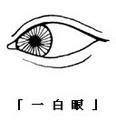 眼神、眼形、眼部面相圖解