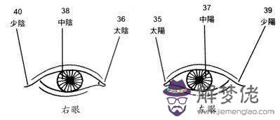 眼神、眼形、眼部面相圖解 眼神、眼形、眼部面相圖解