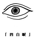 眼神、眼形、眼部面相圖解 眼神、眼形、眼部面相圖解