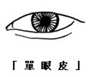 眼神、眼形、眼部面相圖解 眼神、眼形、眼部面相圖解