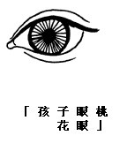 眼神、眼形、眼部面相圖解 眼神、眼形、眼部面相圖解