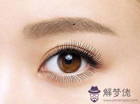 眉中有痣代表富貴好命! 眉中有痣代表富貴好命!