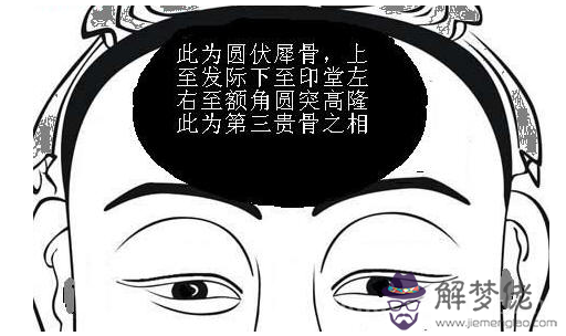 1.伏犀骨