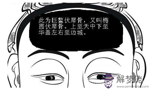 1.伏犀骨