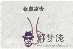 獅鼻、獅頭鼻、獅子鼻 獅鼻、獅頭鼻、獅子鼻