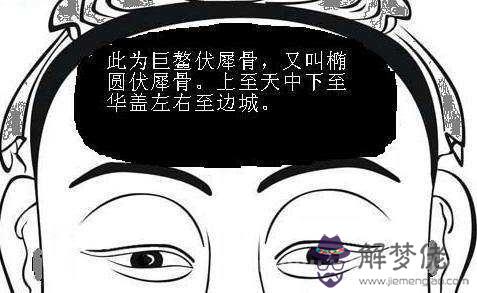 擁有武庫伏羲骨的人面相好不好？