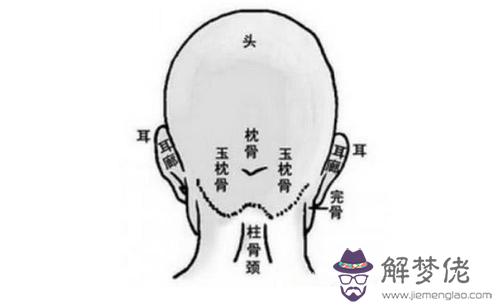 后腦勺反骨是什麼意思，反骨人是人才嗎？