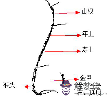 男人鼻子長痣面相圖解