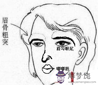 總論男女好色面相特征，多情多欲的面相