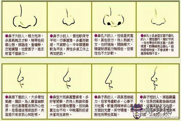 蘇民峰面相:鼻子面相圖解 蘇民峰面相:鼻子面相圖解