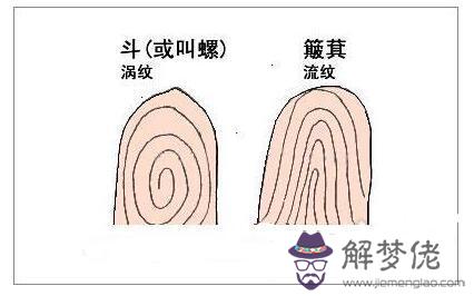 什麼是手指螺紋，手指螺紋圖解