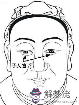 相學經典:《麻衣相法》面相十二宮圖文詳解大全 相學經典:《麻衣相法》面相十二宮圖文詳解大全