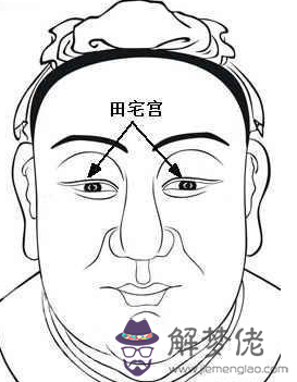 相學經典:《麻衣相法》面相十二宮圖文詳解大全 相學經典:《麻衣相法》面相十二宮圖文詳解大全