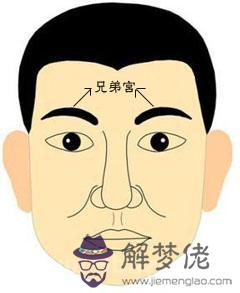 眉毛上有青筋圖解,兄弟宮有青筋面相