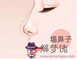 塌鼻梁 塌鼻子(馬鞍鼻)