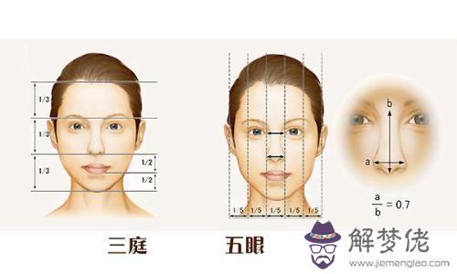 什麼是三庭五眼，三庭五眼面相圖解