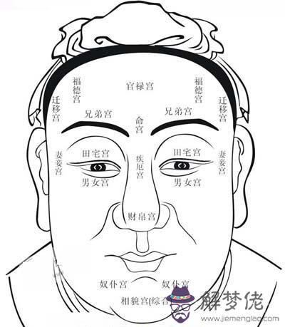 面相十二宮圖