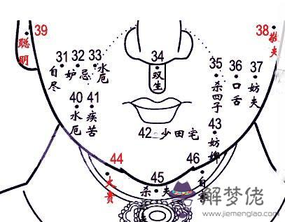 女性面部痣相圖解大全