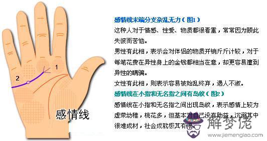 最詳細的女人手相圖解