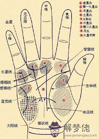 男人手相算命圖解揭密男人命運