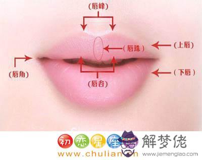唇珠與沒有唇珠的區別 嘴唇面相分析