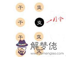 八字格局法運用