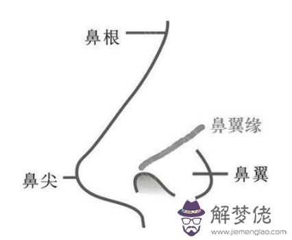 鼻子兩邊肉八字怎麼辦消