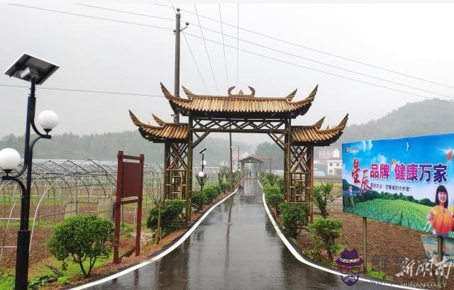 謝強--湖南省岳陽市開發區八字門蔬菜批發市場門面