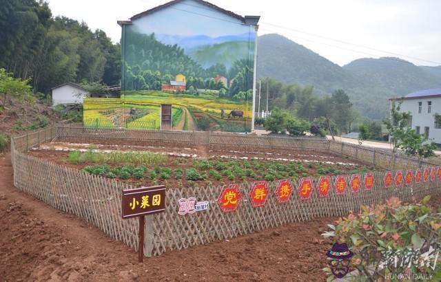 謝強--湖南省岳陽市開發區八字門蔬菜批發市場門面