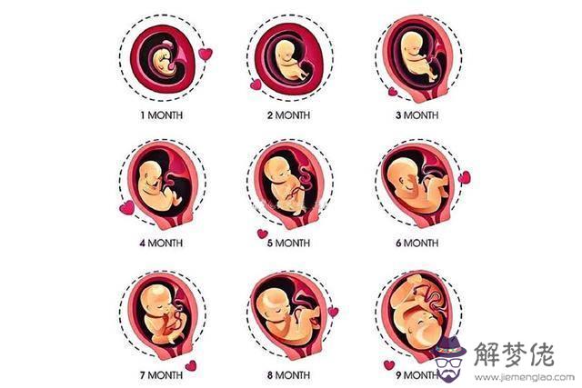 剖腹產胎兒的八字怎麼算