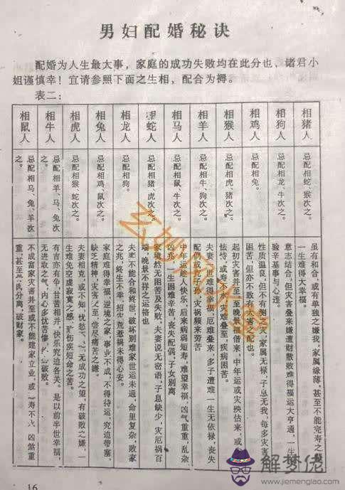 八字合的人會在一起嗎