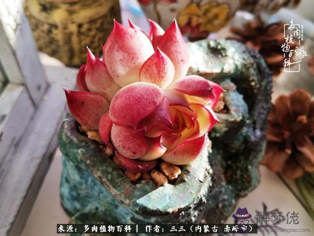 請高手給我批八字 請高手給我批八字