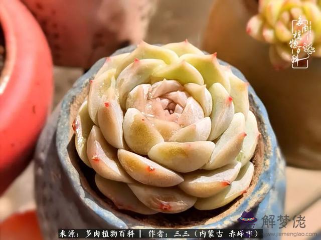 請高手給我批八字 請高手給我批八字