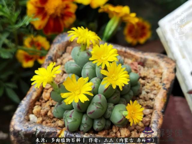 請高手給我批八字 請高手給我批八字