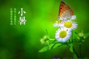 小暑到：12屬相咋旺運